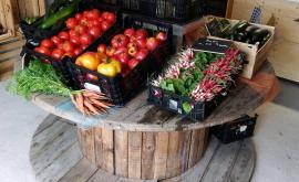 Dans le jardin bio d'Elodie dboutique - Au rendez-vous des Normands