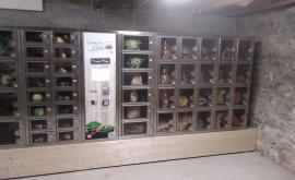 Dans le jardin bio d'Elodie distributeur - Au rendez-vous des Normands