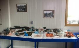 EARL Navet magasin - Au rendez-vous des Normands