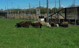 Eco Nature Normandie espaces vert - Au rendez-vous des Normands