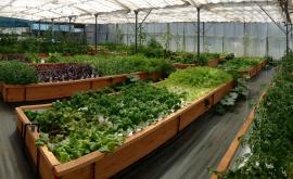 FADA intérieur - Au rendez-vous des Normands