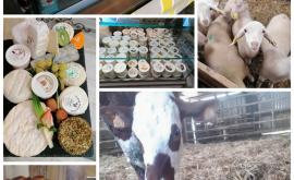 Ferme Germare Alex & Karine présentation - Au rendez-vous des Normands