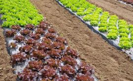 Ferme Margot extérieur - Au rendez-vous des Normands