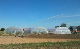 Ferme de Grohan extérieur - Au rendez-vous des Normands