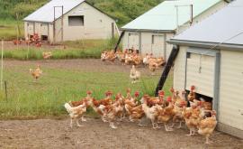 Ferme de l'Orimier extérieur1 - Au rendez-vous des Normands