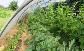Ferme du Château extérieur1- Au rendez-vous des Normands