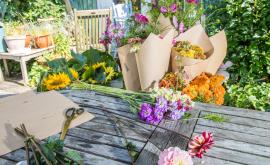 Florakova - Au rendez-vous des Normands