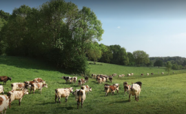 Gaec du Chemin Perray extérieur - Au rendez-vous des Normands