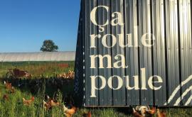 GonneGirls Farm poulailler - Au rendez-vous des Normands.jpg