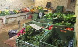 La Ferme Du Mesnil - Au rendez-vous des Normands