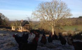 La Ferme Galobio extérieur - Au rendez-vous des Normands