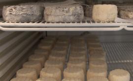 La Ferme d'Esmeralda - Au rendez-vous des Normands