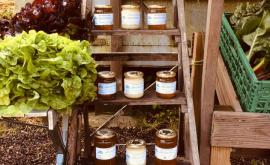 La Ferme du Saint Paër stand1 - Au rendez-vous des Normands