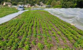 La ferme des Annélides extérieur - Au rendez-vous des Normands