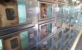 La petite halle de Saint-Loup distributeur - Au rendez-vous des Normands