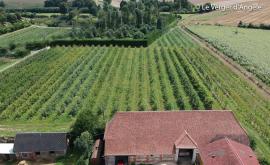 Le Verger d'Angèle extérieur - Au rendez-vous des Normands