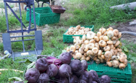 Le jardin des Meules - Au rendez-vous des Normands