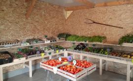 Le jardin du bosq - Au rendez-vous des Normands