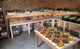 Le jardin du bosq produits - Au rendez-vous des Normands