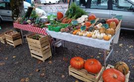 Le potager bio de Montrabot Stand - Au rendez-vous des Normands