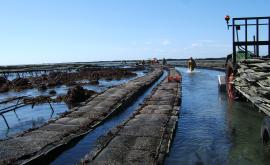 Les Huîtres Mauger extérieur - Au rendez-vous des Normands