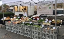 Les Jardins de la Mésangère stand - Au rendez-vous des Normands