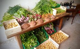 Les Jardins de la Thillaye boutique - Au rendez-vous des Normands