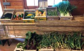 Les Jardins du Petit Moulin produits - Au rendez-vous des Normands