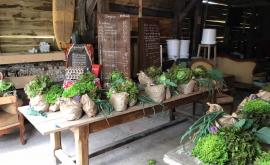Les Jardins du Tormellier intérieur - Au rendez-vous des Normands