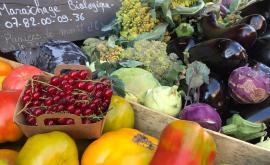 Les Jardins du Tormellier stand - Au rendez-vous des Normands