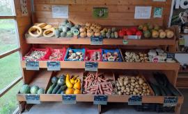 Les Légumes sur l'Aure intérieur - Au rendez-vous des Normands