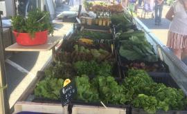 Les jardins de Derchigny stand1 - Au rendez-vous des Normands