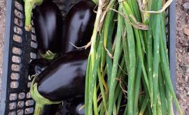 Sébastien Huet produits - Au rendez-vous des Normands