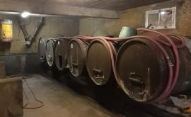 Sanoner Thomas cave - Au rendez-vous des Normands