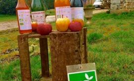 Sanoner Thomas produits - Au rendez-vous des Normands