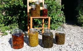 Terres de simples produits - Au rendez-vous des Normands