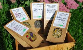 Tisanes Les brindilles de Sylvie produits - Au rendez-vous des Normands