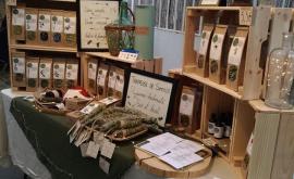 Trappeuse de simples stand - Au rendez-vous des Normands