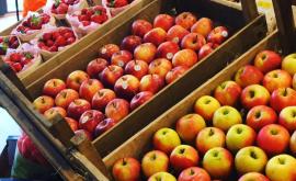 Un air de prairie - Au rendez-vous des Normands