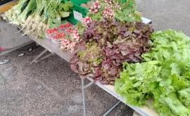 La ferme de la Rossiniere produits1 - Au rendez-vous des Normands