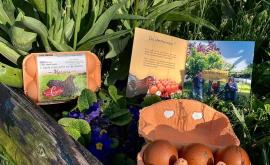 La new ferme Cocotte - Au rendez-vous des Normands