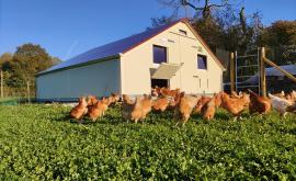 Les Volailles de la Chapelle extérieur - Au rendez-vous des Normands