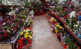 SCEA Pavard intérieur - Au rendez-vous des Normands