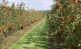 La Grande Ferme - Au rendez-vous des Normands