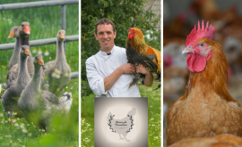 La ferme Pivardiére Thomas Soudet - Au rendez-vous des Normands