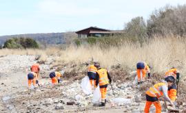 Honfleur Environnement Littoral - Nettoyage des plages