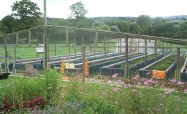 L'escargot du Mont Fossé extérieur - Au rendez-vous des Normands