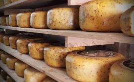 La Ferme du Gouda Fermier de Normandie produits1 - Au rendez-vous des Normands