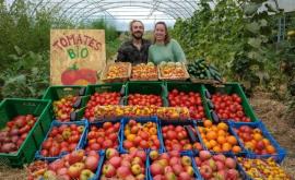 Le Jardin de la Bourdonnière produits - Au rendez-vous des Normands