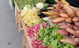 Le Jardin de la Bourdonnière stand - Au rendez-vous des Normands